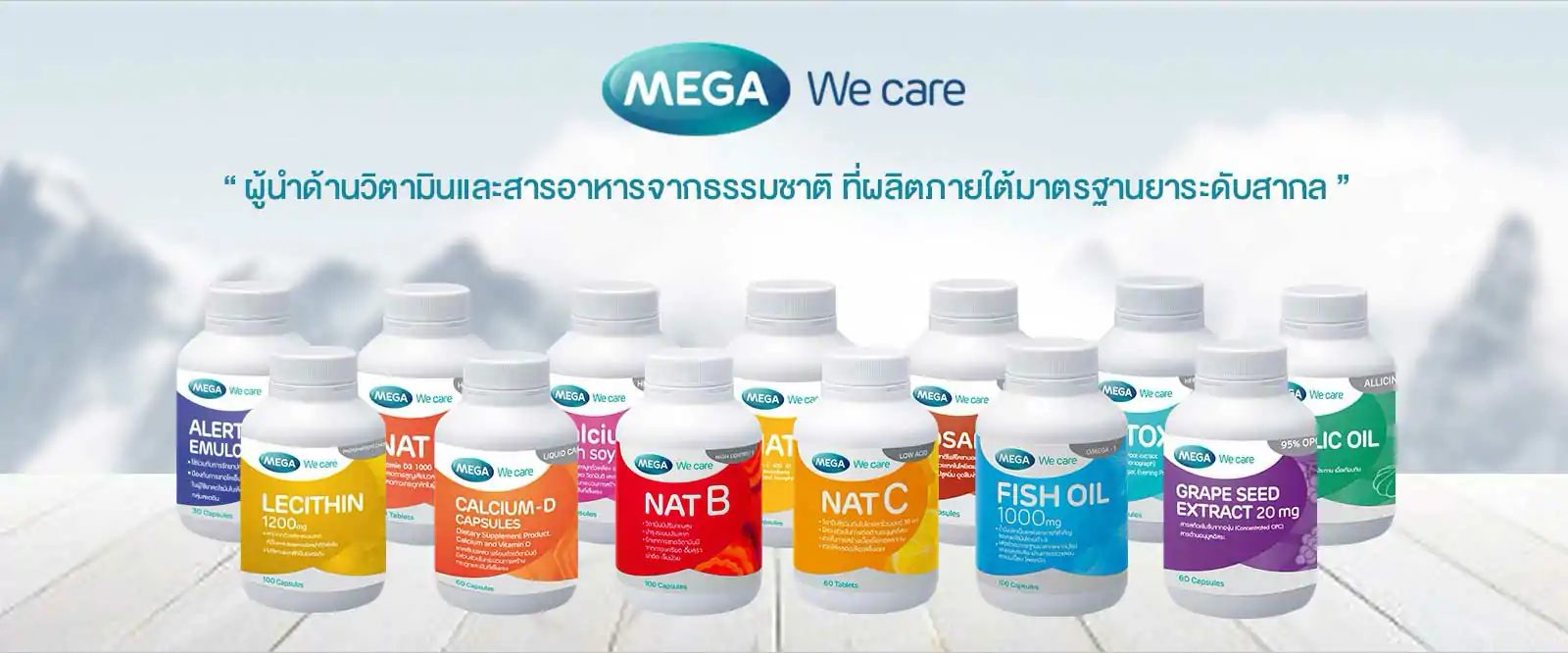 MEGA-WECARE