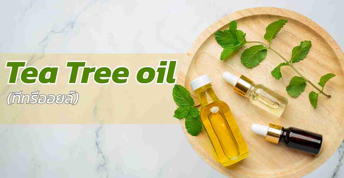 ทีทรีออยล์ (Tea tree oil)