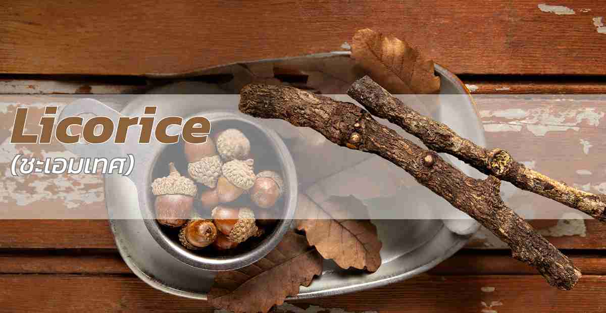 Licorice (Glycyrrhiza glabra)