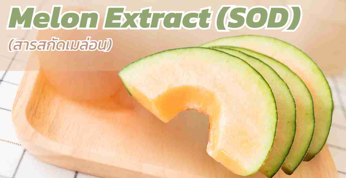 สารสกัดเมล่อน Melon Extract (SOD)