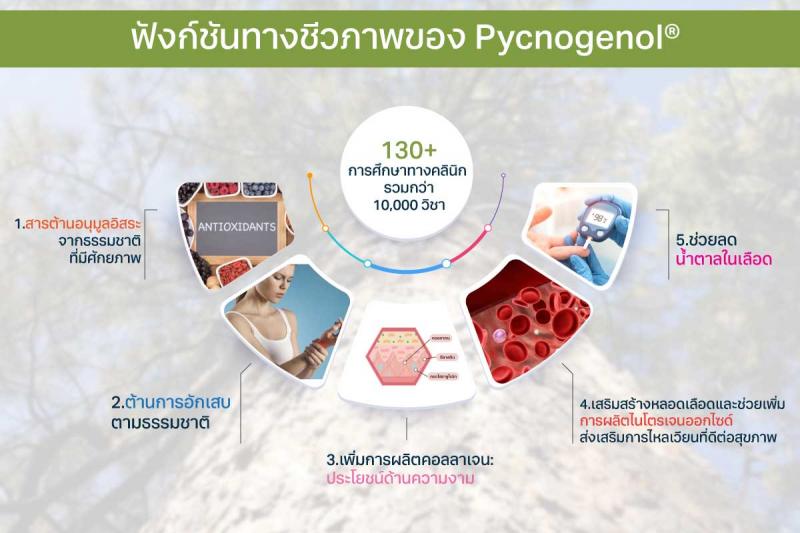 Pharma Nord Bio-Pycnogenol  ฟาร์มา นอร์ด พิกโนจีนอล 