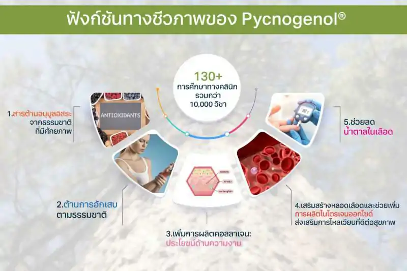 Pharma Nord Bio-Pycnogenol  ฟาร์มา นอร์ด พิกโนจีนอล 