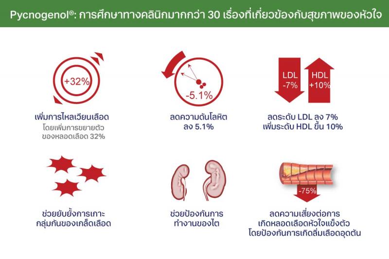 Pharma Nord Bio-Pycnogenol  ฟาร์มา นอร์ด พิกโนจีนอล 