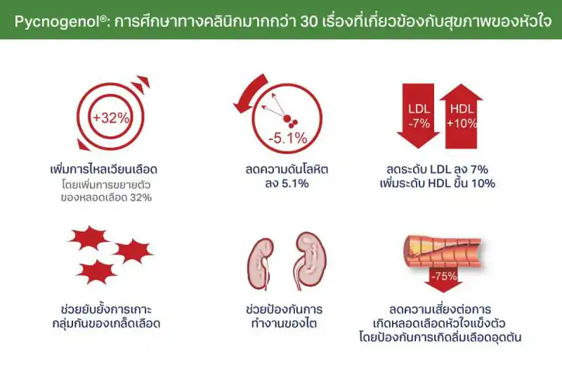 Pharma Nord Bio-Pycnogenol  ฟาร์มา นอร์ด พิกโนจีนอล 