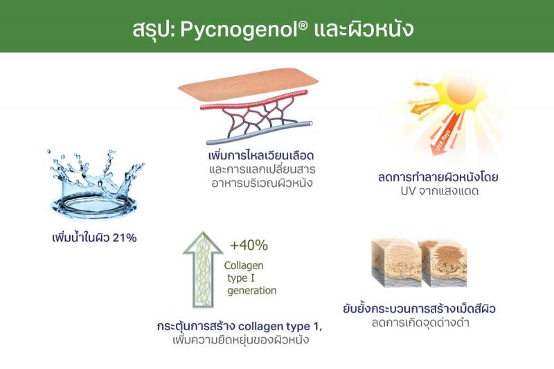 Pharma Nord Bio-Pycnogenol  ฟาร์มา นอร์ด พิกโนจีนอล 