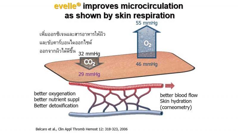 Pharma Nord Evelle ฟาร์มา นอร์ด เอเวอร์เรอ