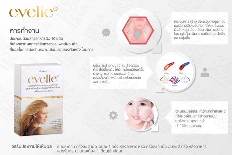 Pharma Nord Evelle ฟาร์มา นอร์ด เอเวอร์เรอ