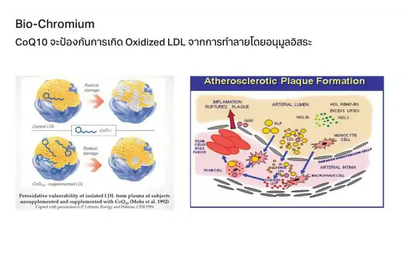 Pharma Nord Bio-Chromium  100mg 90 เม็ด ฟาร์มา นอร์ด โครเมียมยีสต์