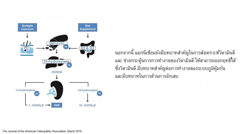 Pharma Nord Bio-Magnesium ฟาร์มา นอร์ด ไบโอ แมกนีเซียม
