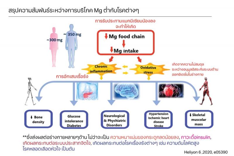 Pharma Nord Bio-Magnesium ฟาร์มา นอร์ด ไบโอ แมกนีเซียม