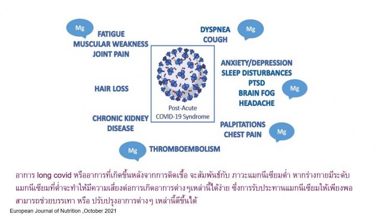 Pharma Nord Bio-Magnesium ฟาร์มา นอร์ด ไบโอ แมกนีเซียม