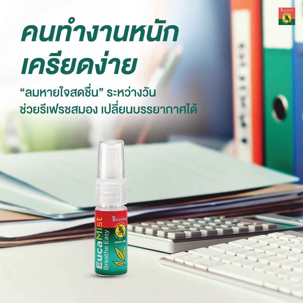 BOSISTOS EUCALYPTUS SPRAY 11 CC. โบสิสโต ยูคาลิปตัส สเปรย์