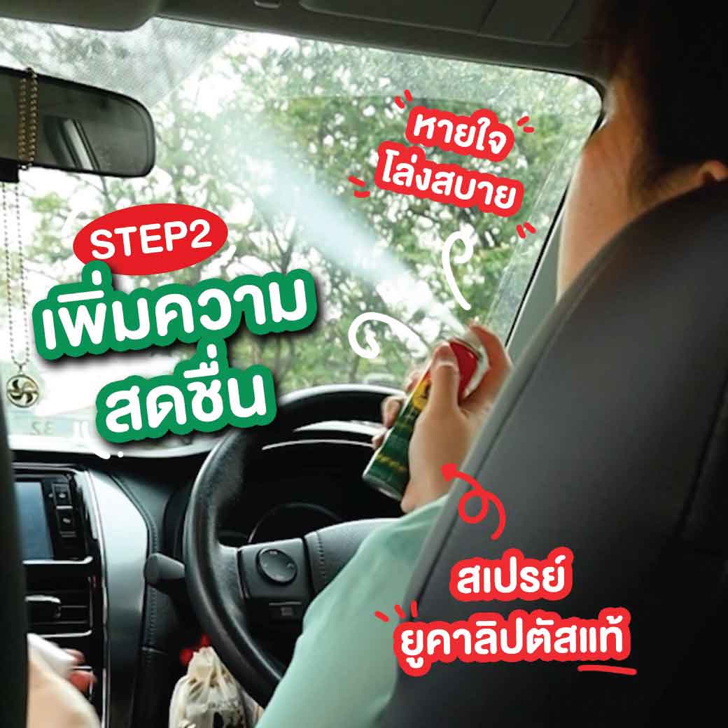 BOSISTOS EUCALYPTUS SPRAY 300 cc. โบสิสโต ยูคาลิปตัส สเปรย์