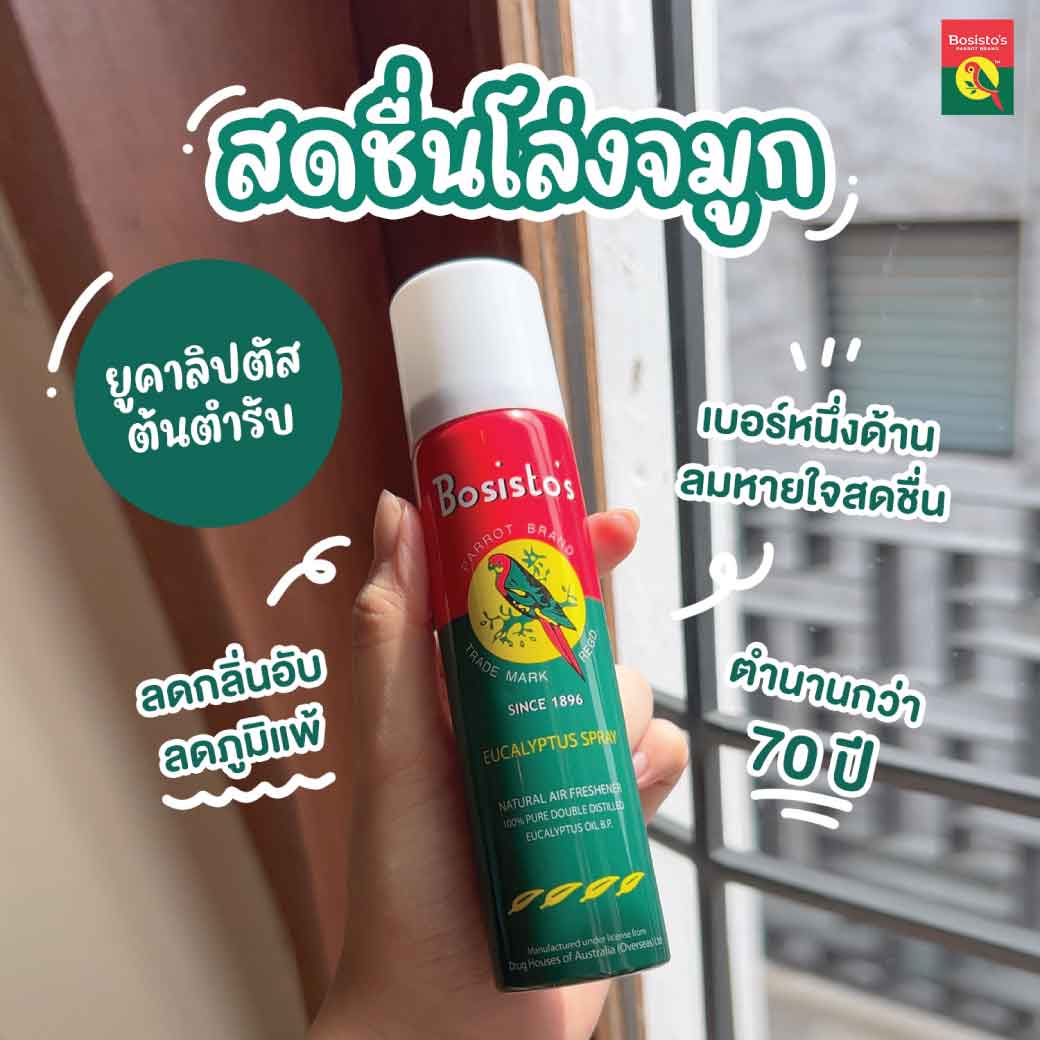 BOSISTOS EUCALYPTUS SPRAY 300 cc. โบสิสโต ยูคาลิปตัส สเปรย์