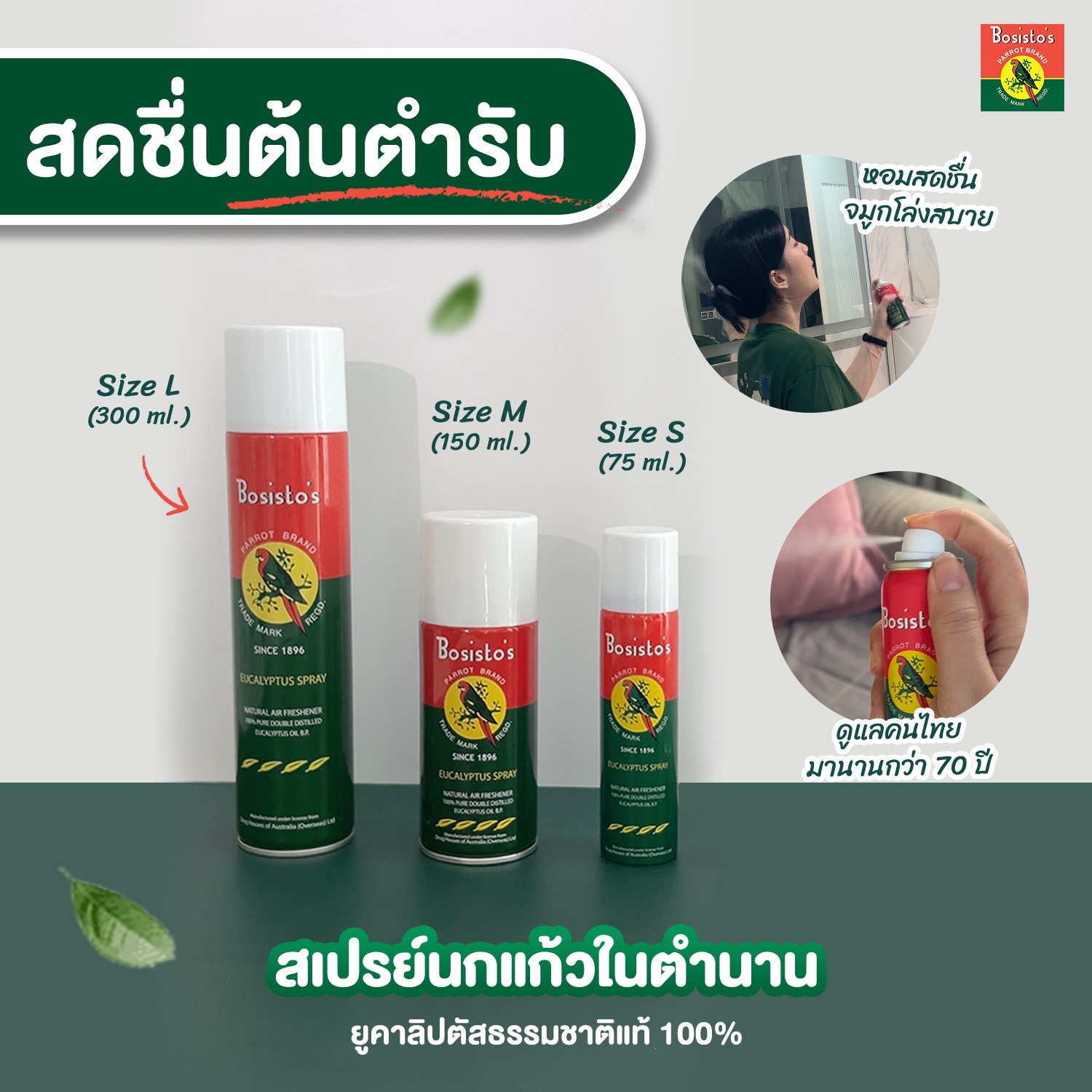 BOSISTOS EUCALYPTUS SPRAY 300 cc. โบสิสโต ยูคาลิปตัส สเปรย์
