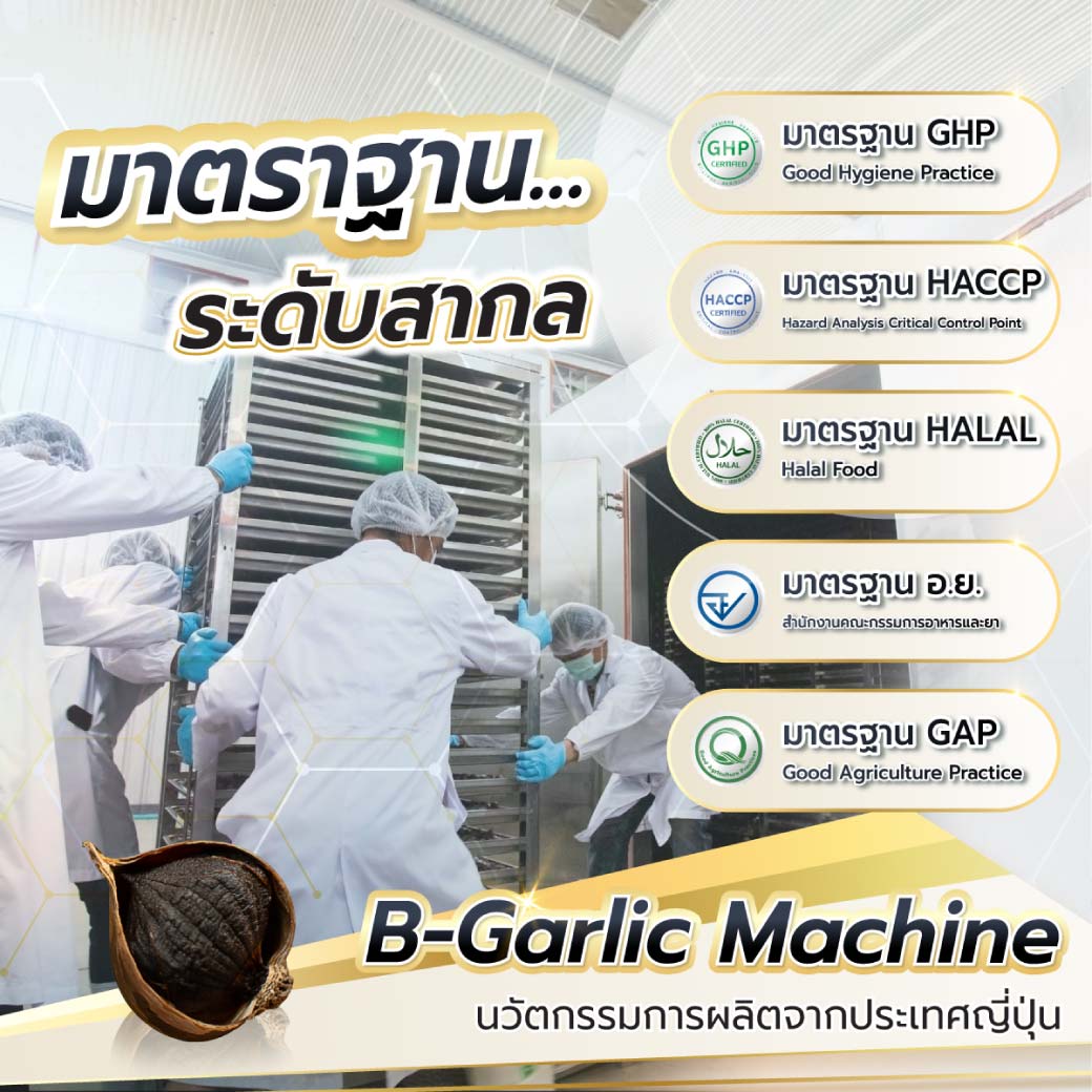 B-Garlic 500g. บีการ์ลิค กระเทียมดำ
