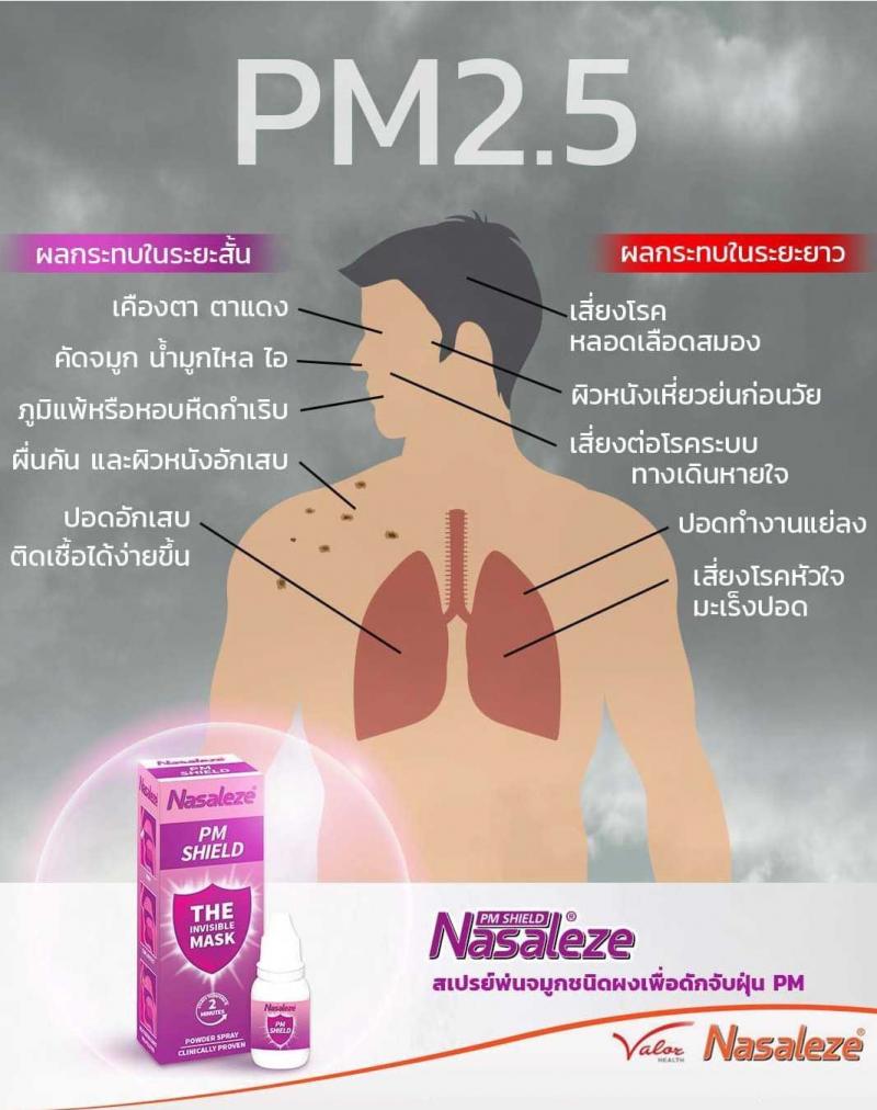 Nasaleze PM Shield 800mg.Powder Spray นาซัลลีซ พีเอ็ม ชีลด์ พาวเดอร์ สเปรย์