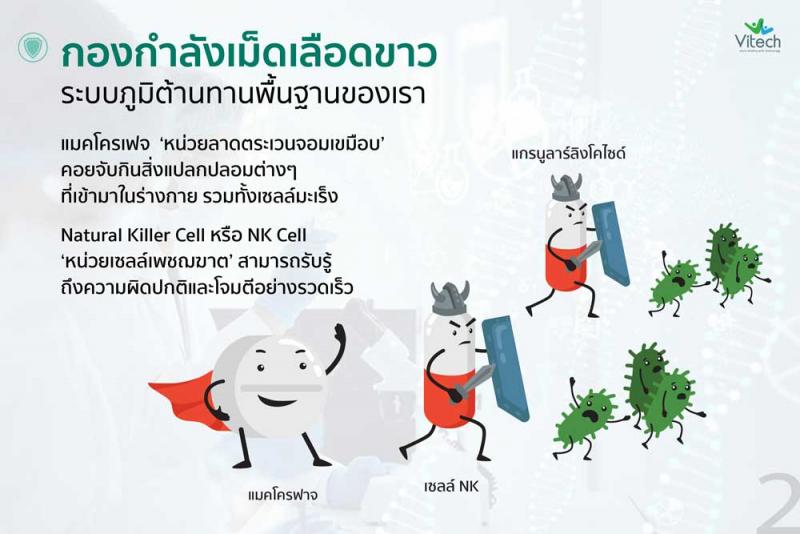 Vitech BetaGlucan Plus Rosehip 30 เม็ด. ไวเทค เบต้ากลูแคน พลัส โรสฮิป