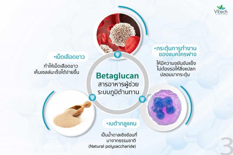 Vitech BetaGlucan Plus Rosehip 30 เม็ด. ไวเทค เบต้ากลูแคน พลัส โรสฮิป