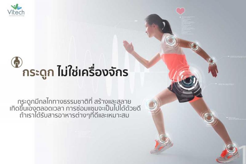 Vitech TEROFLEX 30 แคปซูล. ไวเทค เทโรเฟล็กซ์