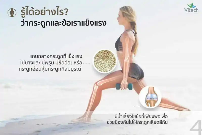 Vitech TEROFLEX 30 แคปซูล. ไวเทค เทโรเฟล็กซ์