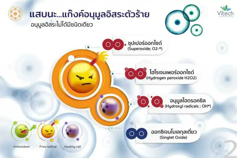 Vitech RADIMIX 30 เม็ด. ไวเทค เรดิมิกซ์