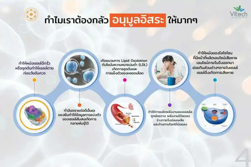 Vitech RADIMIX 30 เม็ด. ไวเทค เรดิมิกซ์