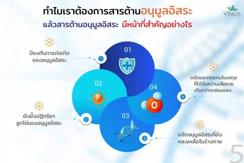 Vitech RADIMIX 30 เม็ด. ไวเทค เรดิมิกซ์