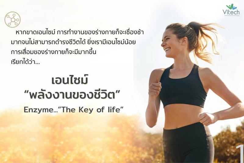 Vitech Zymetrix-N 30 เม็ด. ไวเทค ไซเมทิค-เอ็น