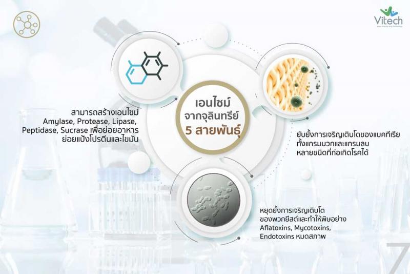 Vitech Zymetrix-N 30 เม็ด. ไวเทค ไซเมทิค-เอ็น
