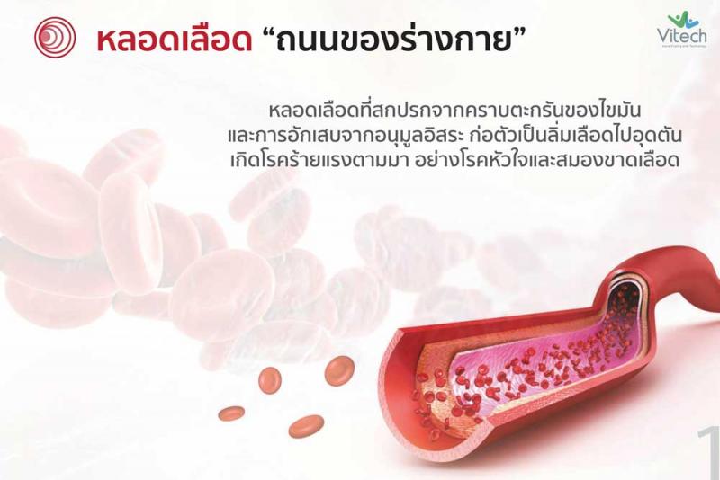 Vitech Vasiflo 30 แคปซูล. ไวเทค วาซิโฟล