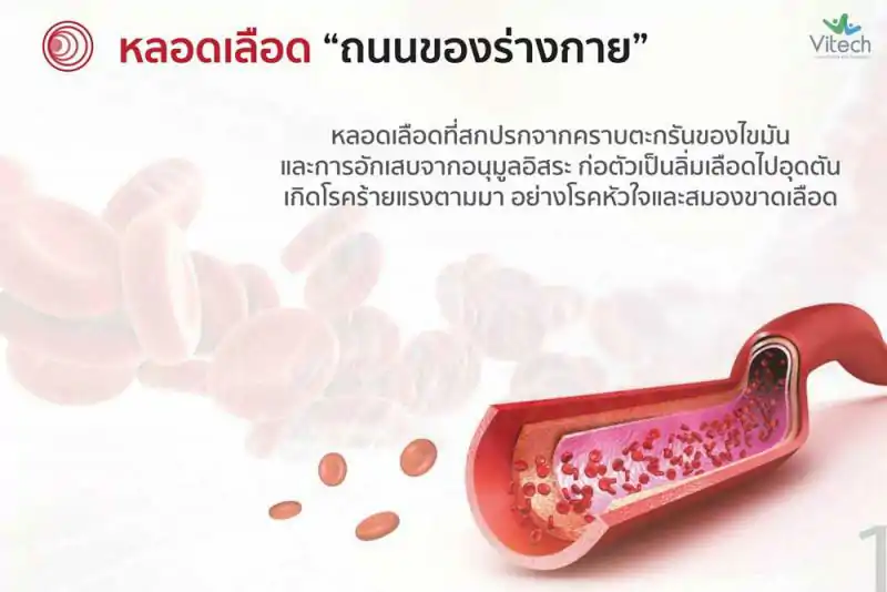Vitech Vasiflo 30 แคปซูล. ไวเทค วาซิโฟล