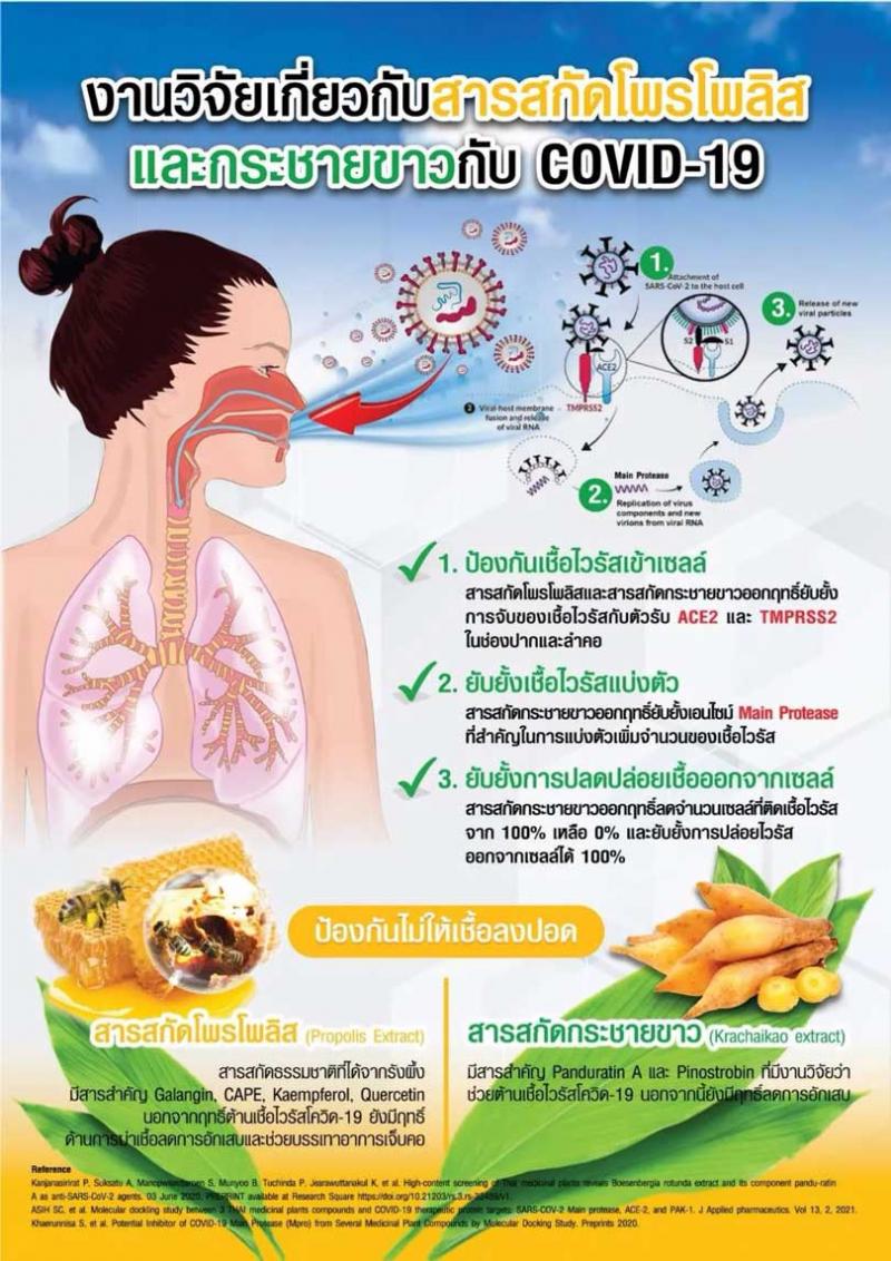 PROPOLIZ Plus Krachaikao Spray 15ml.