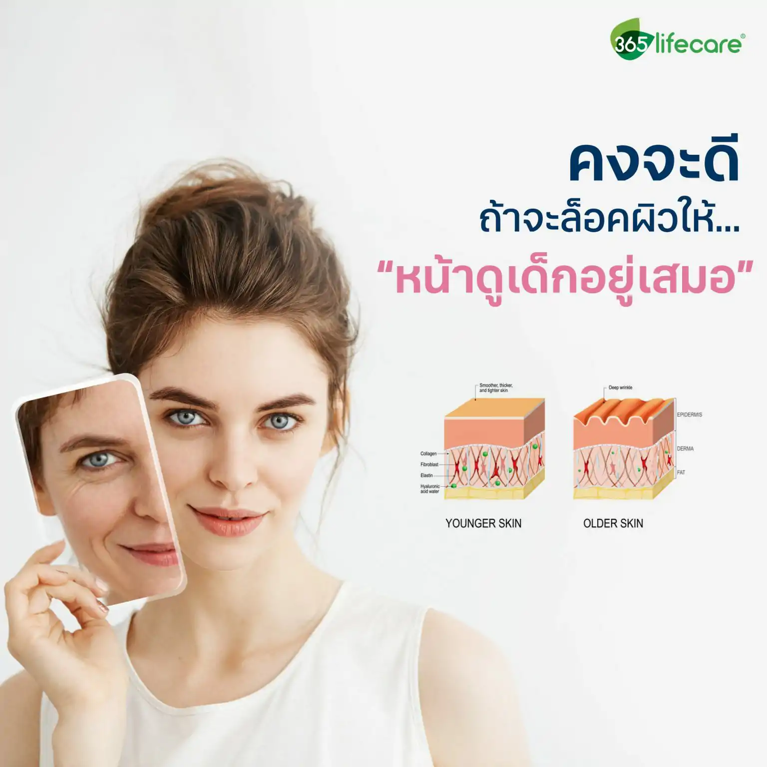 365Lifecare Biogenol Pine Bark Extract 30แคปซูล. 365 ไลฟ์แคร์ ไบโอจีนอล