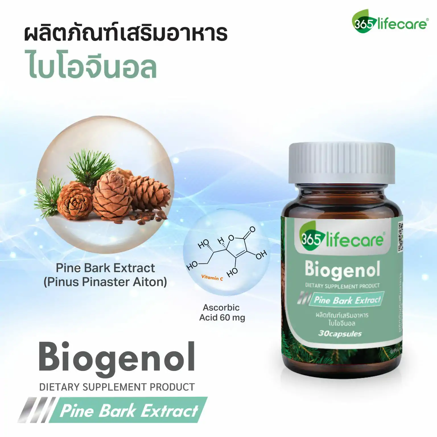 365Lifecare Biogenol Pine Bark Extract 30แคปซูล. 365 ไลฟ์แคร์ ไบโอจีนอล