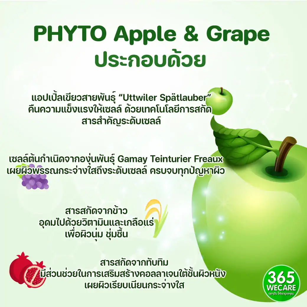 365Lifecare Phyto Apple&Grape 30แคปซูล 365 ไลฟ์แคร์ ไฟโต สารสกัดจากแอปเปิ้ลและเมล็ดองุ่น