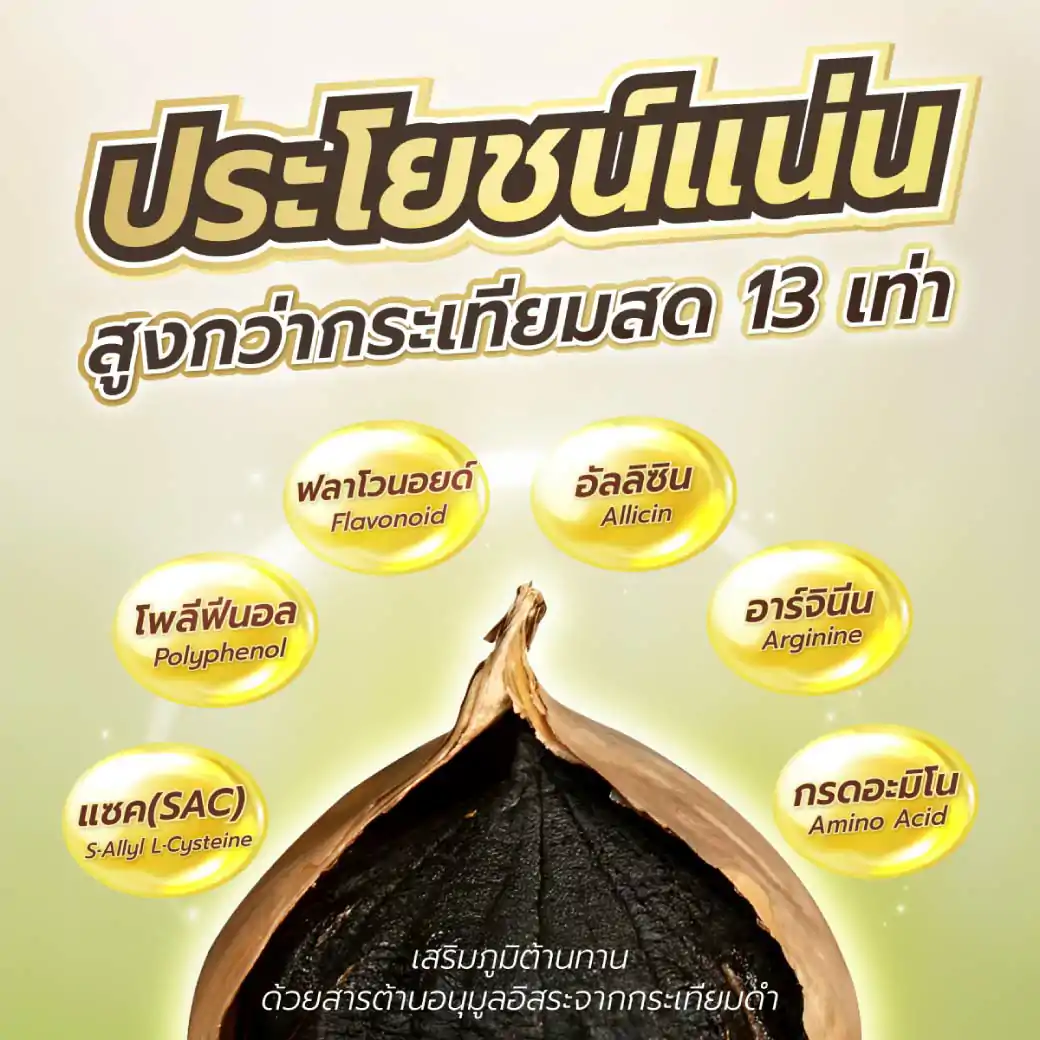 B-Garlic กระเทียมดำแคปซูล 30แคปซูล บีการ์ลิค