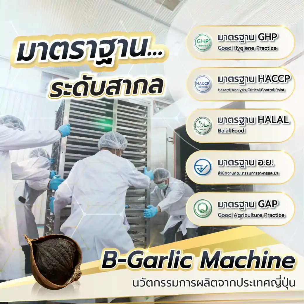 B-Garlic 500g. บีการ์ลิค กระเทียมดำ (500 g. 3ชิ้น)