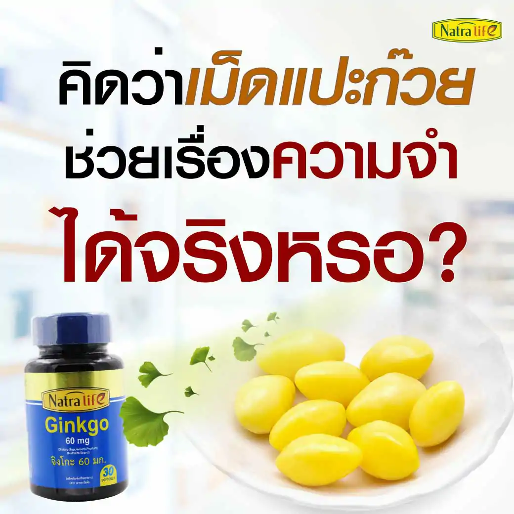 NatraLife Gingko Biloba 60mg. 30ซอฟท์เจล. นาทราไลฟ์ จิงโกะ ไบโลบา 