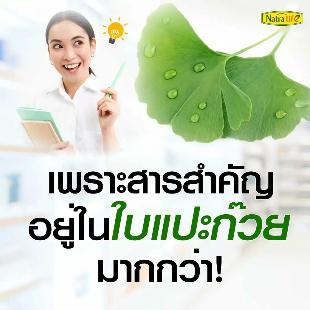 NatraLife Gingko Biloba 60mg. 30ซอฟท์เจล. นาทราไลฟ์ จิงโกะ ไบโลบา 