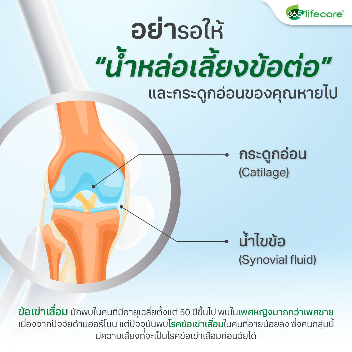 365Lifecare Collagen TypeII Plus Black Sesame 30แคปซูล. 365ไลฟ์แคร์ คอลลาเจน ไทป์ทู พลัส แบล็ค เซซามี