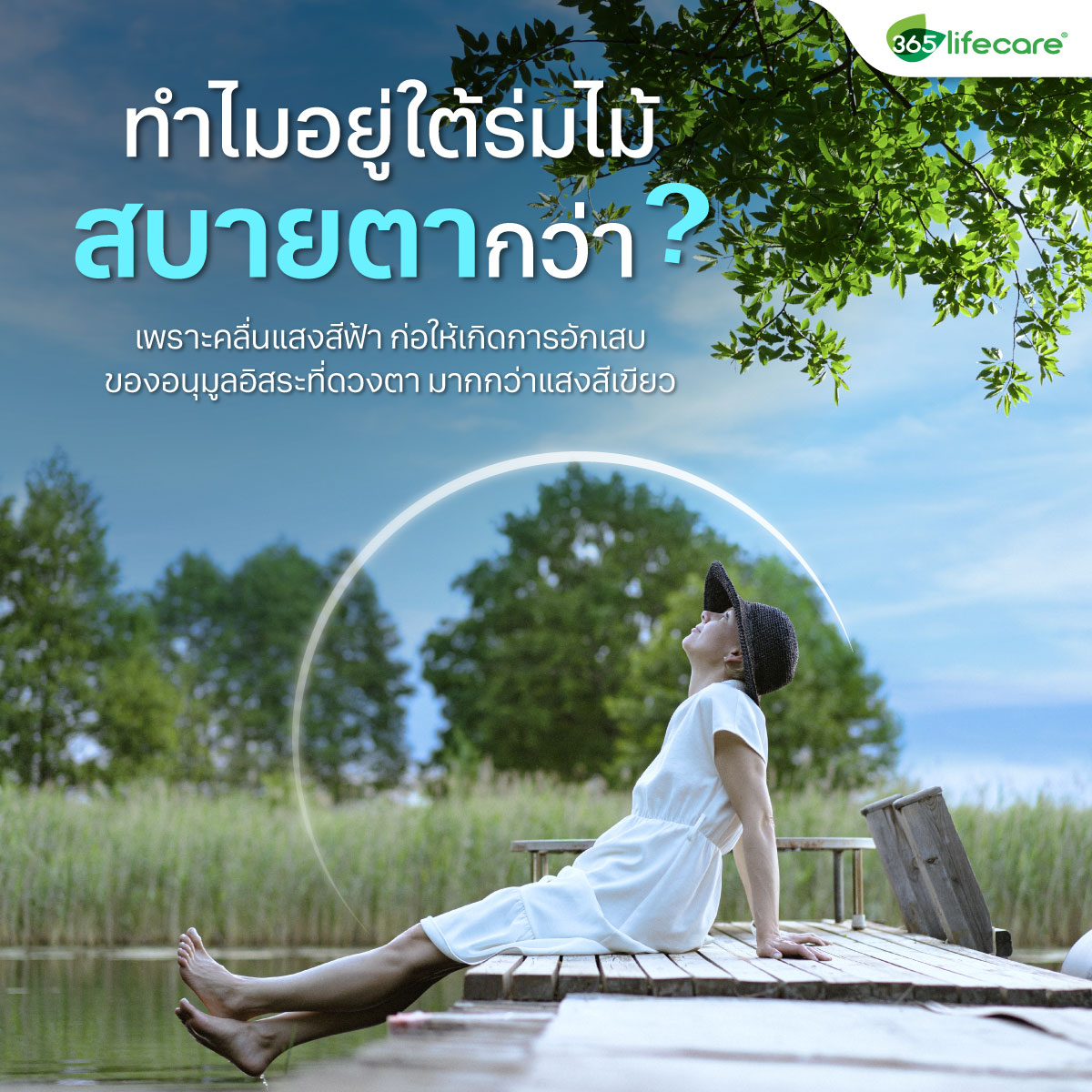 365Lifecare Lutein 10mg Plus Bilberry 30แคปซูล. 365ไลฟ์แคร์ ลูทีน 10 มล. พลัส บิลเบอรี่