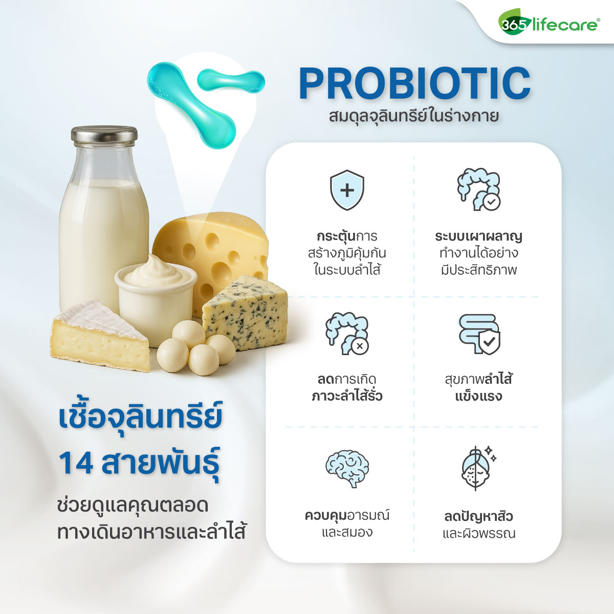 365Lifecare Probiota Plus Apple Cider Vinegar Drcaps 30แคปซูล. 365ไลฟ์แคร์ โปรไบโอต้า พลัส แอปเปิ้ลไซเดอร์เวนีก้า ดีอาร์แคป