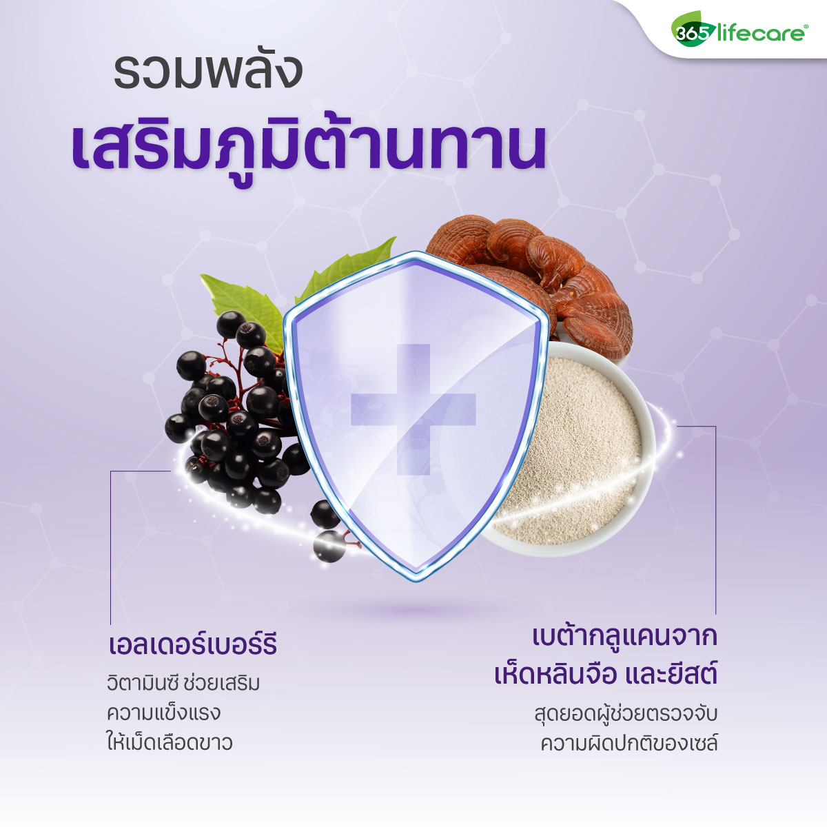 365lifecare Betaglucan Plus Elderberry 30 Capsules. 365ไลฟ์แคร์ เบต้ากลูแคน พลัส เอลเดอร์เบอร์รี่