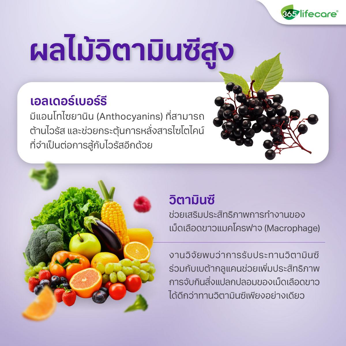 365lifecare Betaglucan Plus Elderberry 30 Capsules. 365ไลฟ์แคร์ เบต้ากลูแคน พลัส เอลเดอร์เบอร์รี่