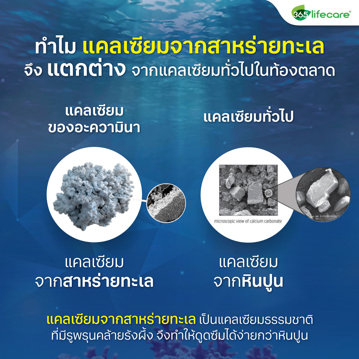 365lifecare Aquamina 30 Capsules. 365ไลฟ์แคร์ อะความินา