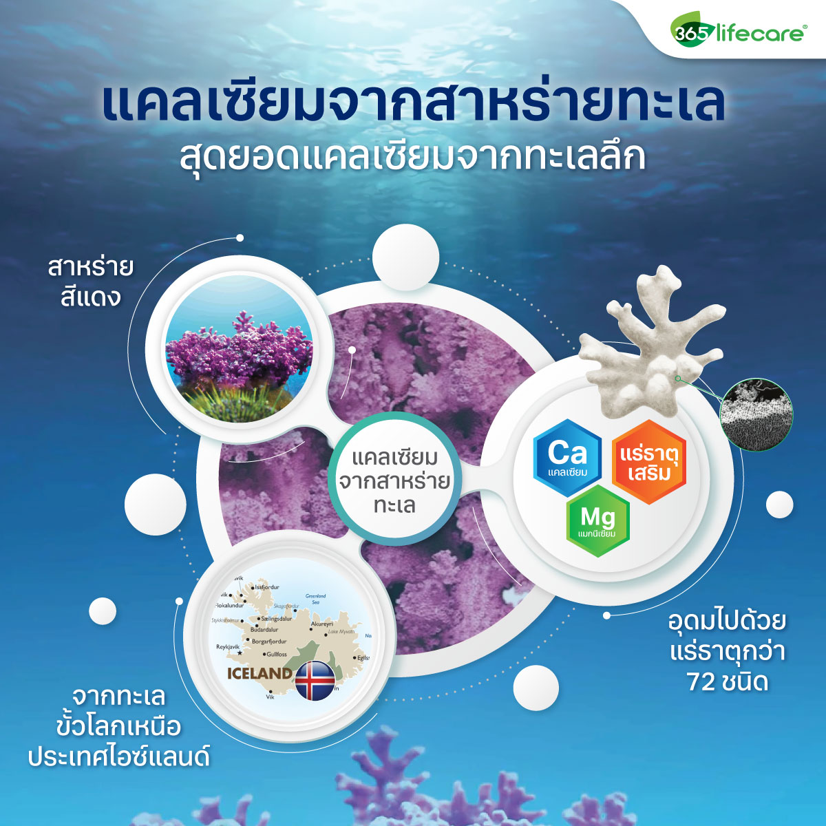 365lifecare Aquamina 30 Capsules. 365ไลฟ์แคร์ อะความินา