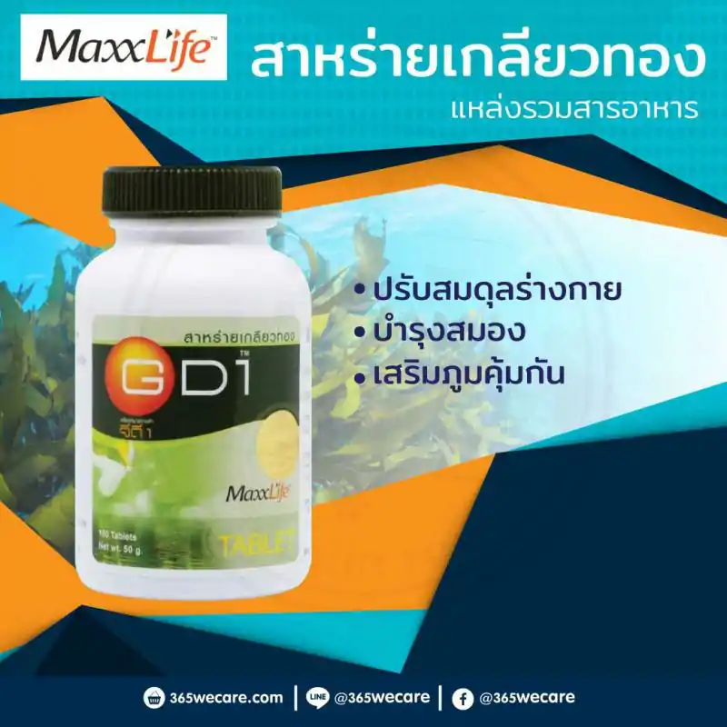MAXXLIFE Wellgate 100s. แม็กซ์ไลฟ์ เวลเก็ต สาหร่ายเกลียวทอง
