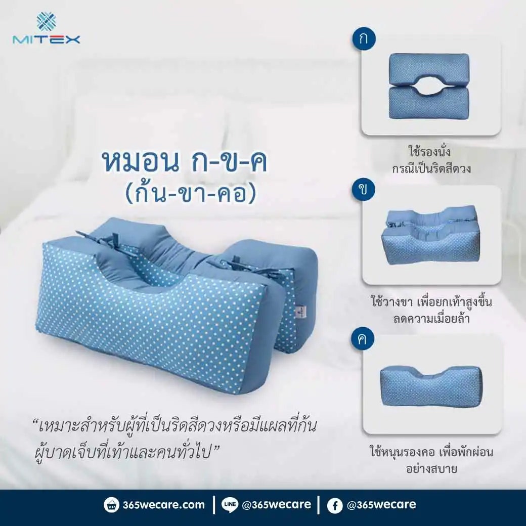 MITEX หมอน กขค (รองก้น-ขา-คอ) ไมเท็กซ์