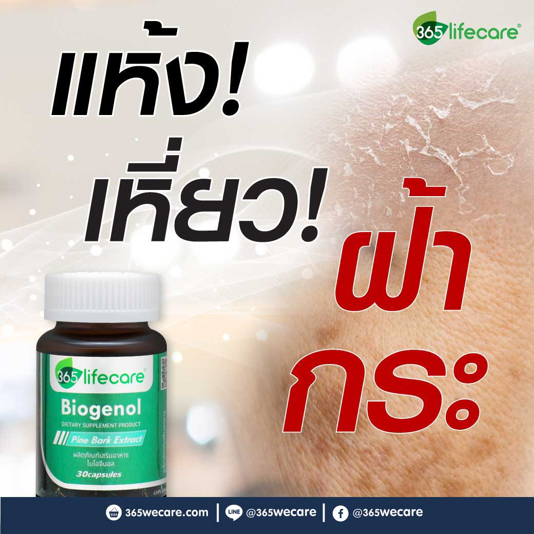 365Lifecare Biogenol Pine Bark Extract 30แคปซูล. 365 ไลฟ์แคร์ ไบโอจีนอล